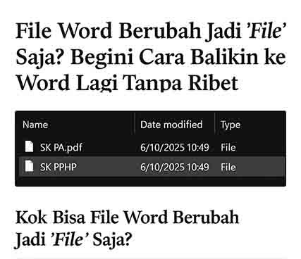 File Word Berubah Jadi File Saja Begini Cara Balikin ke Word Lagi